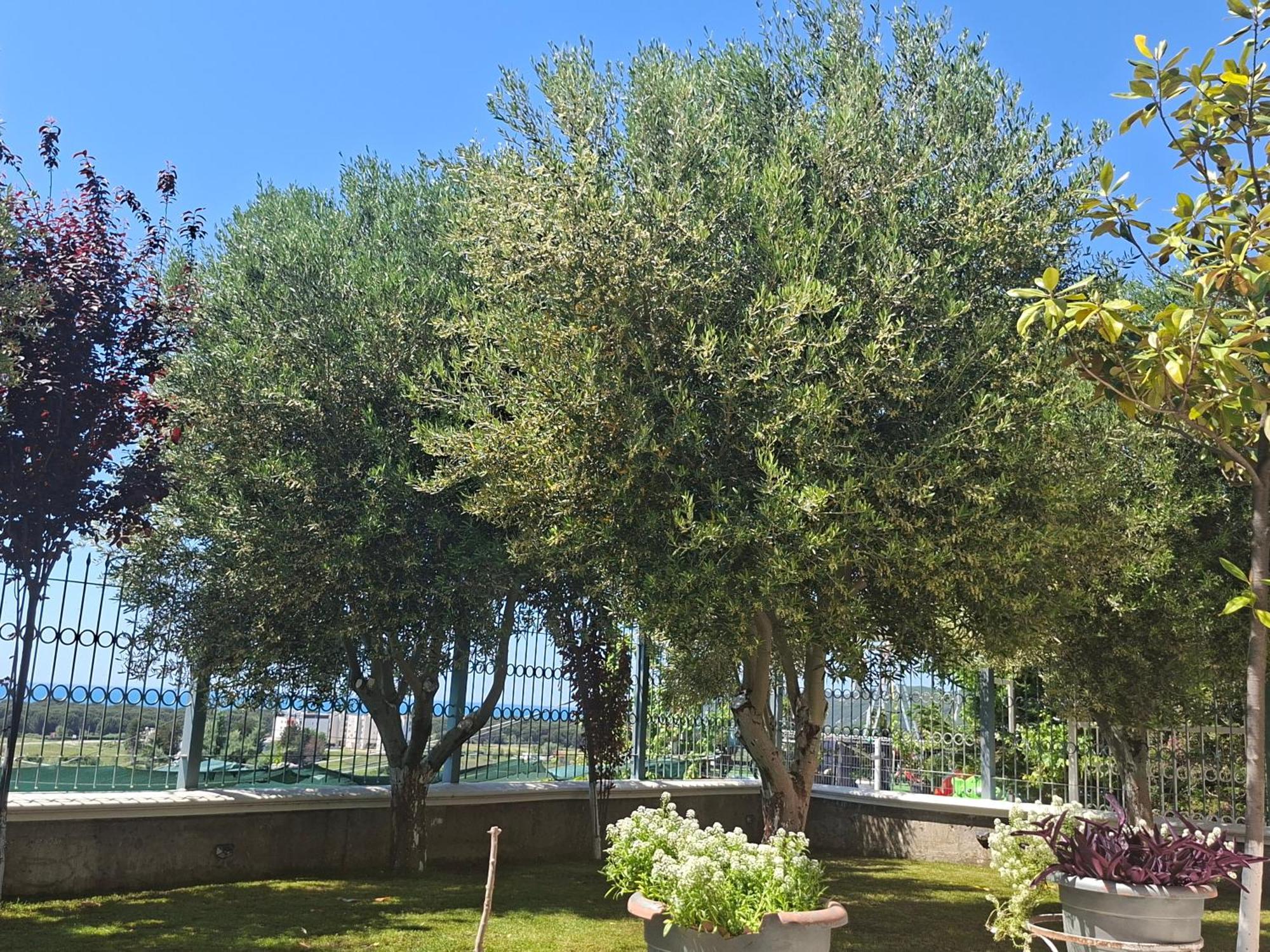 Villa Luiss Panorama Durres Ngoại thất bức ảnh